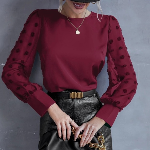 Swiss Dot Sheer Long Sleeve Blouse - Picture 6 of 12